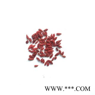 枸杞 宁夏枸杞小粒 产地 宁夏回族自治区图2