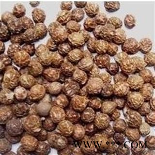 梧桐子 统 产地 安徽省亳州市谯城区图2