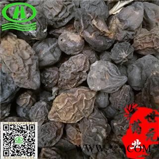世元药业 草柯子 正品 毛柯子(药效高于金柯子)大金果 麻来 诃梨 诃黎 香柴 微毛诃子 随风子 草苛子图2