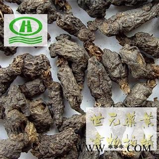 世元药业 天葵子 正品 别称 紫背天葵根 天葵草 千年老鼠屎 金耗子【全品除尘中药】图2