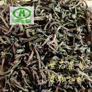 世元药业 苦丁香 正品 甜瓜蒂 烘干 香瓜蒂图1