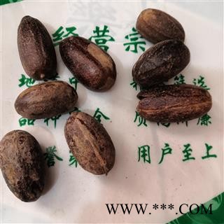 安祁名药草果  香果 长香果   多种调料图2