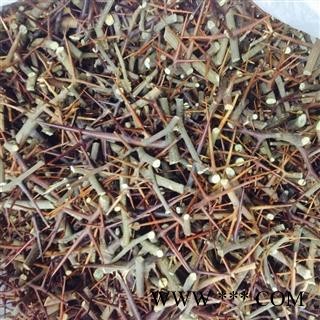 皂刺 有针有杆 产地 河南省图2