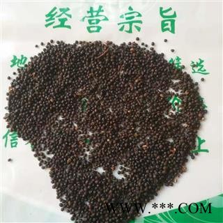 安祁名药正品椒目 川椒目 花椒目图2