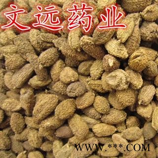 砂仁 进口壳砂仁选货 产地 海外图2