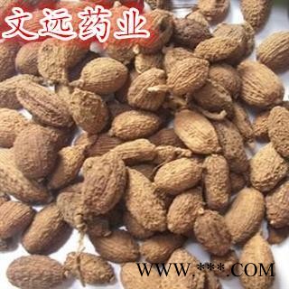 砂仁 进口壳砂仁选货 产地 海外图3