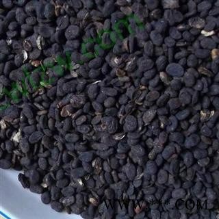 补骨脂 选 故之子 黑故子 破故纸 产地 安徽省亳州市亳州药市图2