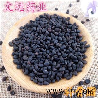 补骨脂 选 故之子 黑故子 破故纸 产地 安徽省亳州市亳州药市图4