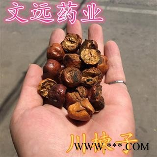 川楝子 南阳市文远药业 炒川楝子 产地 四川省南充市市辖区图2
