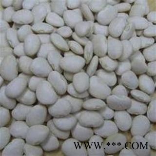 白扁豆 选 批发零售各种规格中药材 花茶 矿石图4