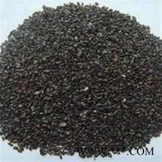 车前子 统 产地 安徽省亳州市谯城区图3