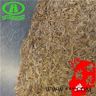 世元药业 孜然 正品 新货 精选 味浓 食药两用 调料 香旱芹 马芹图3