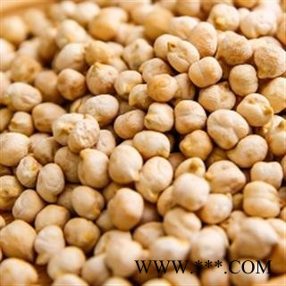 安祁名药鹰嘴豆 天麻子图2
