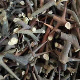 皂角刺 皂角刺老刺统片 产地 山东省图2