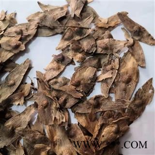 安祁名药凤眼草 椿荚 凤眼子臭椿子 春铃子图2