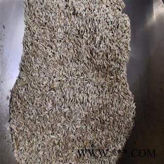 安祁名药正品生菜籽 莴苣子 白巨胜子 新货净货图1