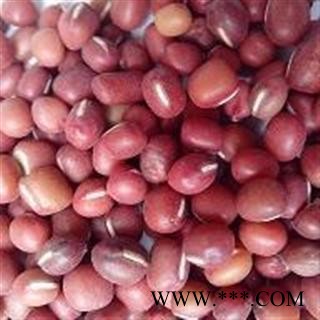 赤小豆 红豆 产地 河南省南阳市宛城区图2