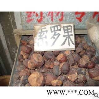 娑罗子苏罗子、棱罗子、开心果 统 产地图3