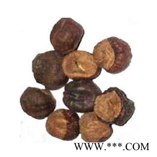 娑罗子苏罗子、棱罗子、开心果 统 产地图2