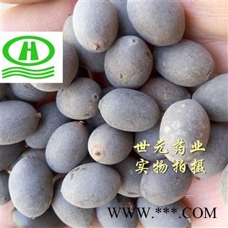 世元药业 甜石莲子 石莲肉 甜石莲 壳莲子 带皮莲子【全品除尘中药】图2