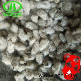 世元药业 棉花子 正品 木棉籽 棉花核 药用 棉子图2