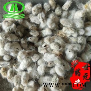世元药业 棉花子 正品 木棉籽 棉花核 药用 棉子图1