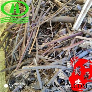 世元药业 水柏枝 正品 统段 砂柳图1