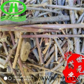 世元药业 水柏枝 正品 统段 砂柳图2