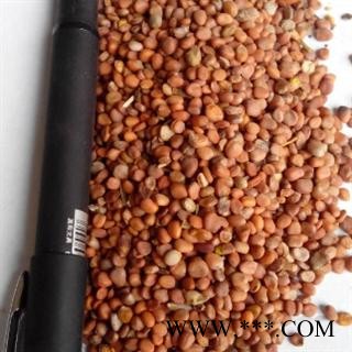 世元药业 莱菔子 新货正品 精选 量大从优 来服子 萝卜子 莱菔籽图2