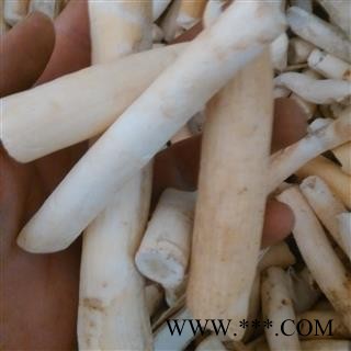 大通草 大通草段 产地 四川省图2