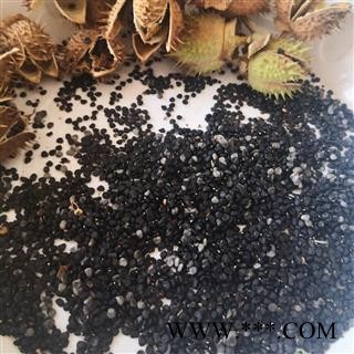 【满包邮】野生曼陀罗子 刺茄子花 【批发药材 品种齐全】 】图2