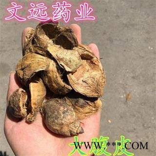 大腹毛 正品 选装 腹皮 选大腹皮 槟榔皮 大腹毛 产地 河北省保定市安国药市图3