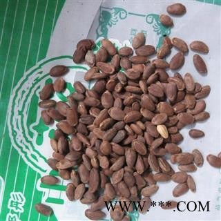 瓜蒌仁 单边瓜蒌子选货 产地 河南省图2