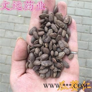瓜蒌仁 单边瓜蒌子选货 产地 河南省图3