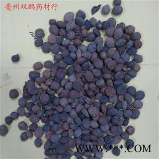 蕤仁 统 产地 甘肃省图2