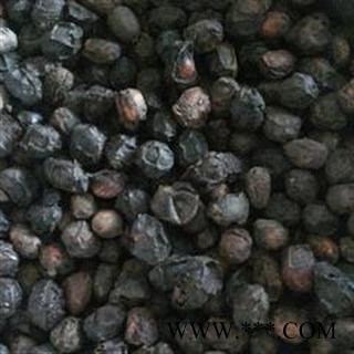 广枣 统 产地 广西壮族自治区北海市铁山港区图2