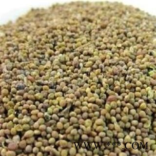 菟丝子 选装 产地 甘肃省图3