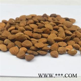 苦杏仁 统 产地 山西省 库存 1000图3