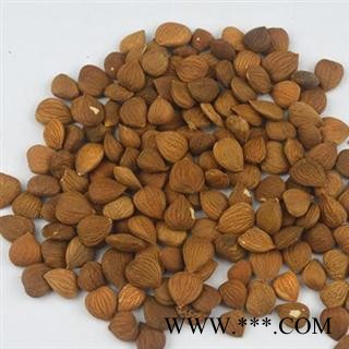 苦杏仁 统 产地 山西省 库存 1000图2