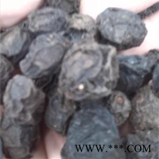 乌梅 统 产地 安徽省亳州市谯城区图2