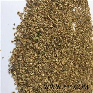 蛇床子 蛇床子净货 产地 河南省图2