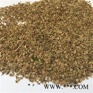 蛇床子 蛇床子净货 产地 河南省图3