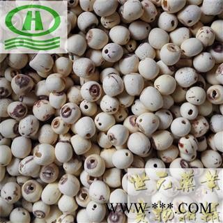 世元药业 莲子 白莲子 藕实 水芝丹 莲实 莲蓬子 莲肉【药食两用】图2