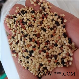 安祁名药坚果奇亚籽  奇亚子 免洗代餐谷物图2