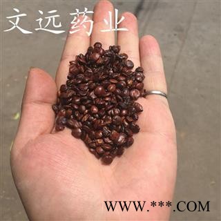 进口枣仁 统装 产地 海外图2