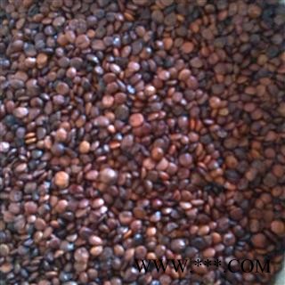 进口枣仁 统装 产地 海外图3