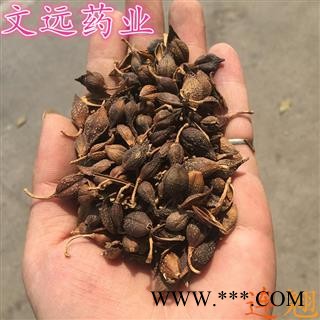 连翘 一级连翘 选装 产地 河南省图2