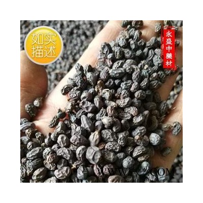 女贞子 女贞子圆果净货 产地 河南省南阳市