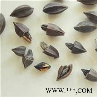 药食同源 可生食 新货使君子 别称 留求子、史君子、五梭子、索子果、冬均子、病柑子图3