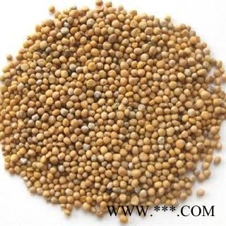 白芥子 统 产地 安徽省亳州市谯城区图3